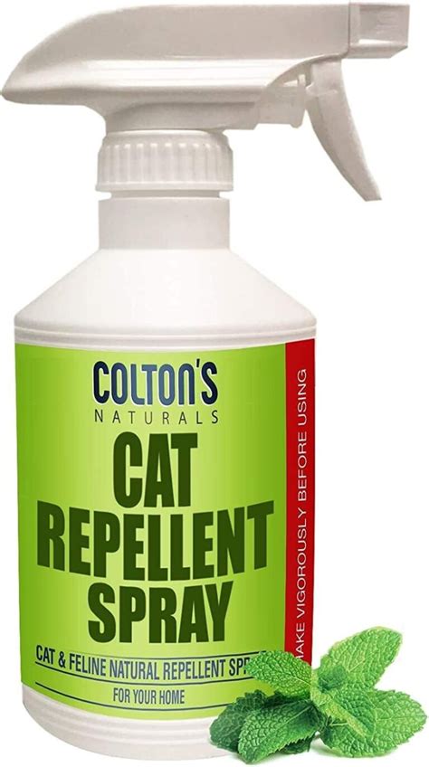 catscram review|The Best Indoor Cat Repellent to Keep Your Furry .